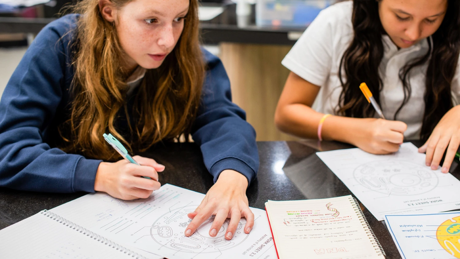 Why Most Studying Doesn't Actually Work